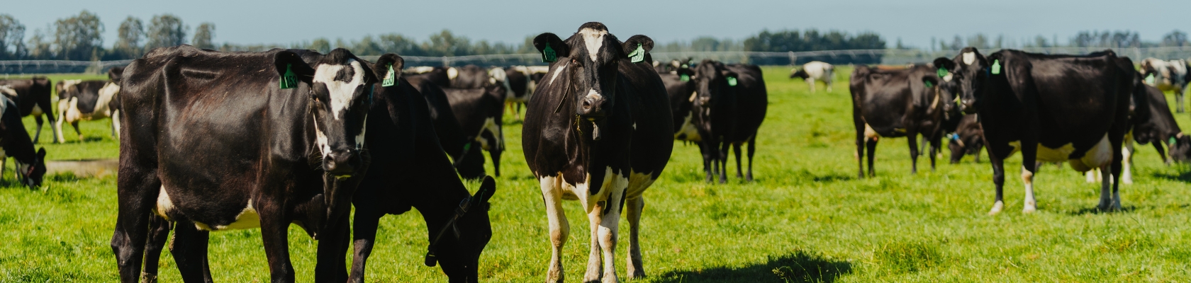 1680x400_WEBSITE: Header Picture - 3 1680x400_WEBSITE: Header Picture - 3