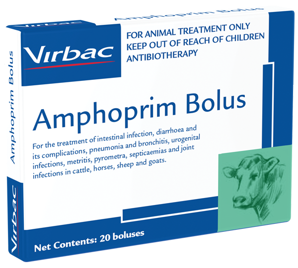 Amphoprim Bolus Oral Or Intrauterine Antibiotic Virbac