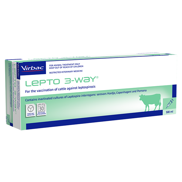 Leptospirosis Vaccine For Dogs petfinder