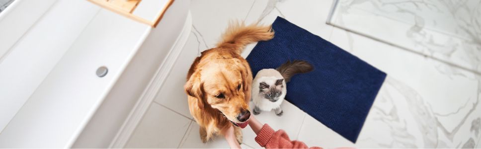 Click here for information on EpiOtic ear cleanser 