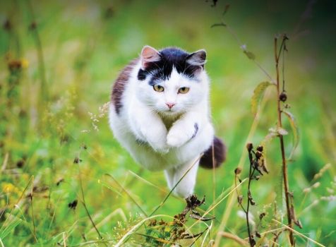 Milpro Technical Training