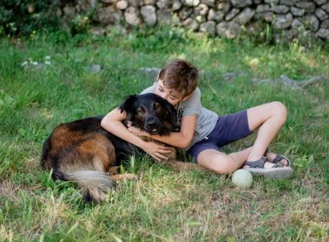 Your Google Search Rank