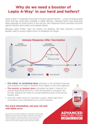 Lepto 4-Way Booster.png