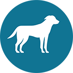 Icon_Adult dog.png