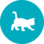 Icon_Kitten.png