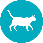 Icon_Pregnant Cat.png
