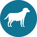 Icon_Pregnant dog.png
