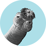 Icon_tapeworm.png