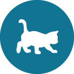 Kittens_icon.png