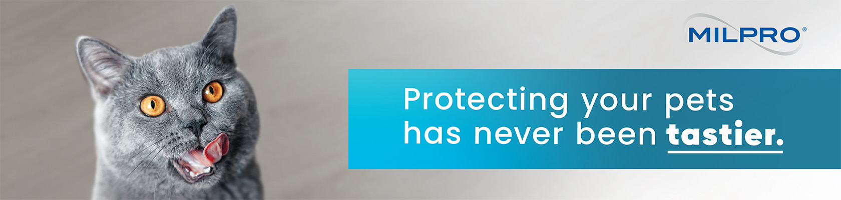 Milpro_Header 1680x400.jpg