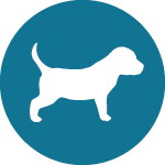 Puppies_icon.png