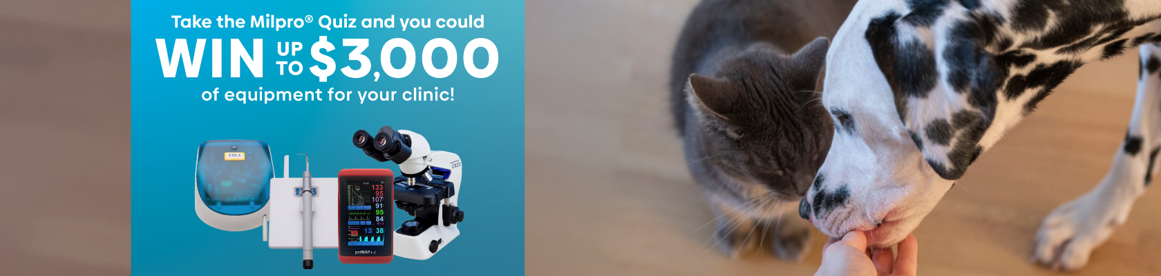 2025_milpro_quiz_banner.png