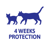 4 weeks protection for cats