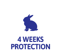 4 weeks protection for rabbits