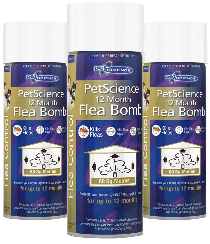 Best flea bombs nz top