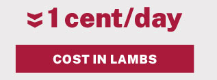 COST IN LAMBS