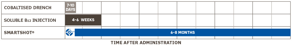 COBALT SUPPLEMENTATION EFFICACY