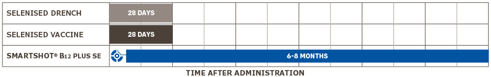 SELENIUM SUPPLEMENTATION EFFICACY